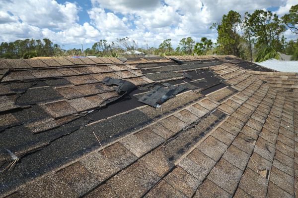 Roof Damage Repair